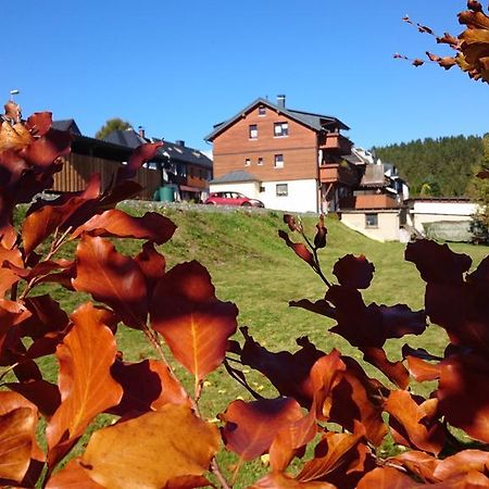 Ferienwohnung Elisabeth Klingenthal Dış mekan fotoğraf