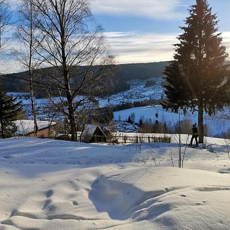 Ferienwohnung Elisabeth Klingenthal Dış mekan fotoğraf