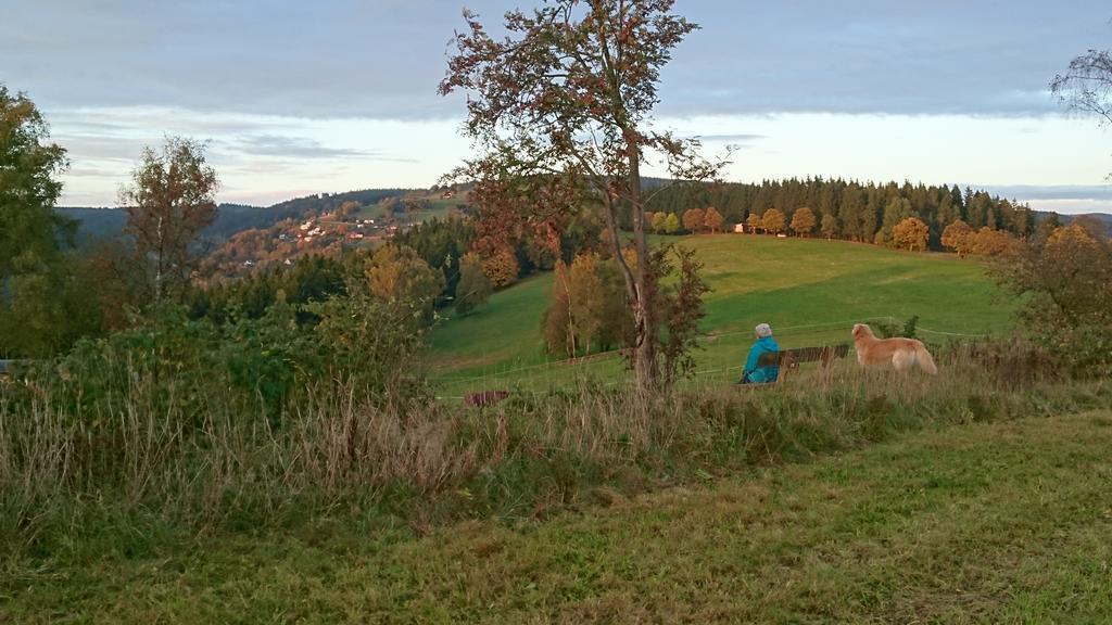 Ferienwohnung Elisabeth Klingenthal Dış mekan fotoğraf